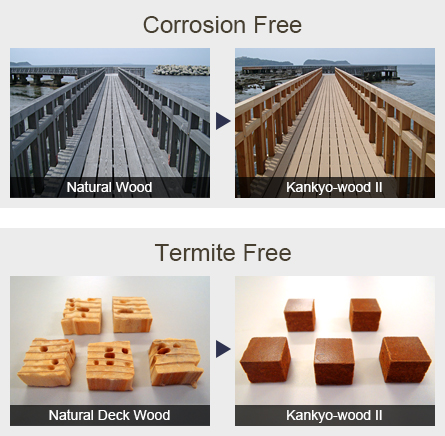 Corrosin Free  Termite Free