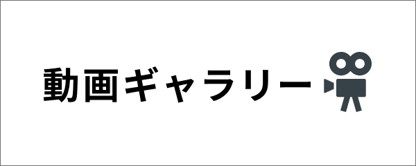 動画ギャラリー