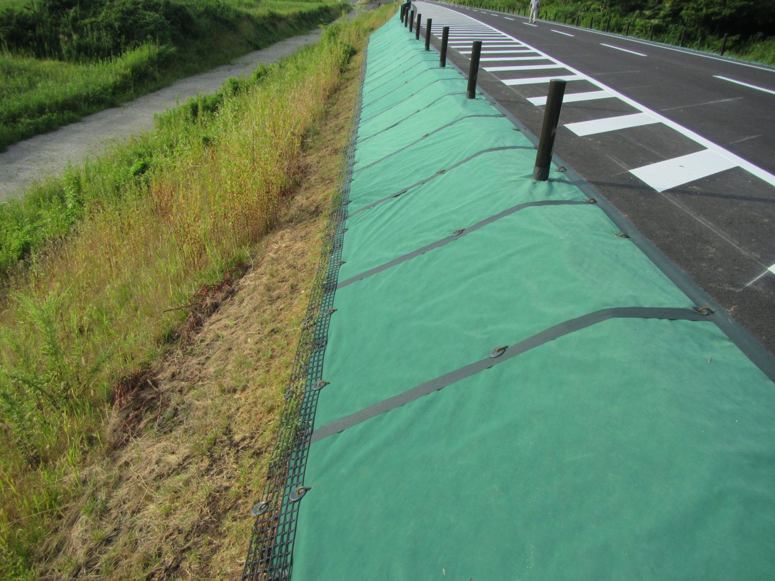 防 草 シート 木の根 元