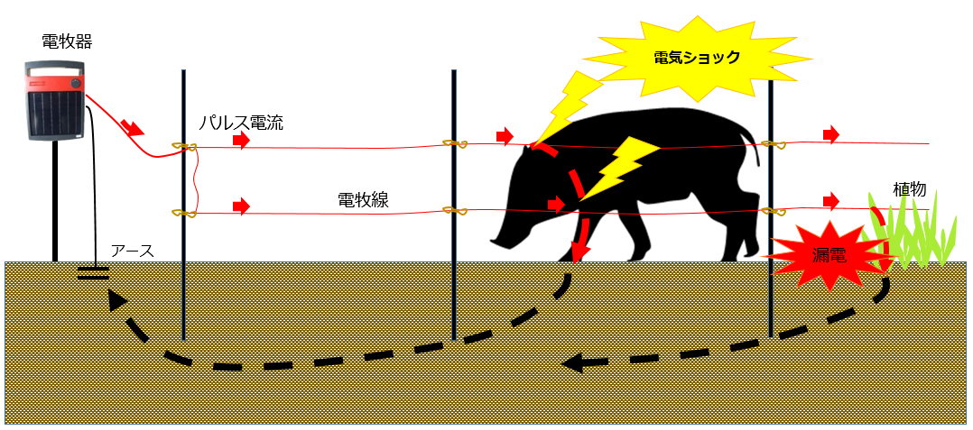 送料無料激安祭 5月10日より順次手配 プレミア保証付 未来のアグリ 北原電牧 電気柵 本体 ソーラービビット 2000型 ニューセンサー バッテリー無 