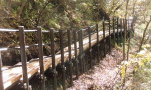 自然公園型デッキ（片桟橋木道、遊歩道）