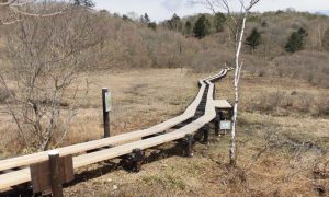 自然公園型木道（関東ふれあいの道）